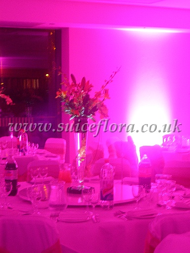 DSCN8831.JPG