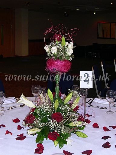 DSCN9308.JPG