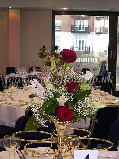 DSCN9313.JPG