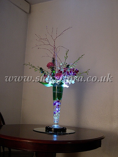 DSCN9455.JPG