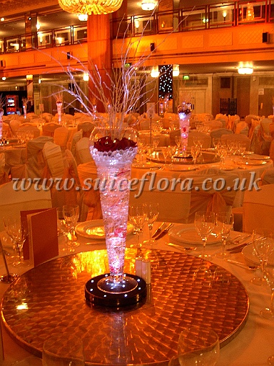 DSCN9708.JPG