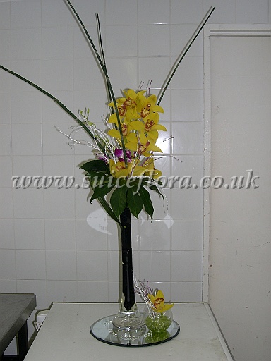 DSCN9829.JPG