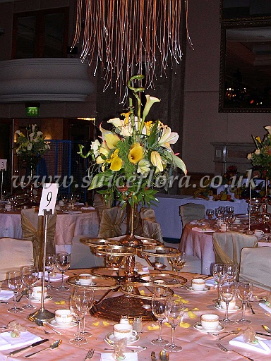 table037.JPG
