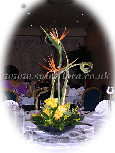 table054.jpg