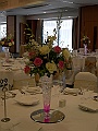 DSCN0261