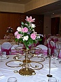 DSCN8154