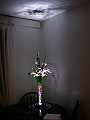 DSCN8272