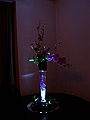DSCN8367