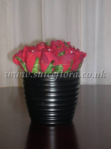 sfrf04.jpg