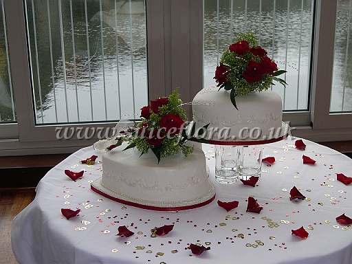 DSCN7289.JPG